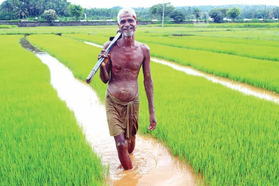 Farmer