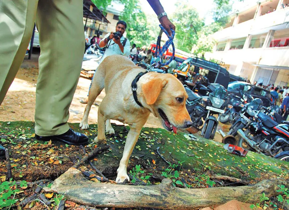 പ്രതീകാത്മക ചിത്രം | ഫോട്ടോ: മാതൃഭൂമി