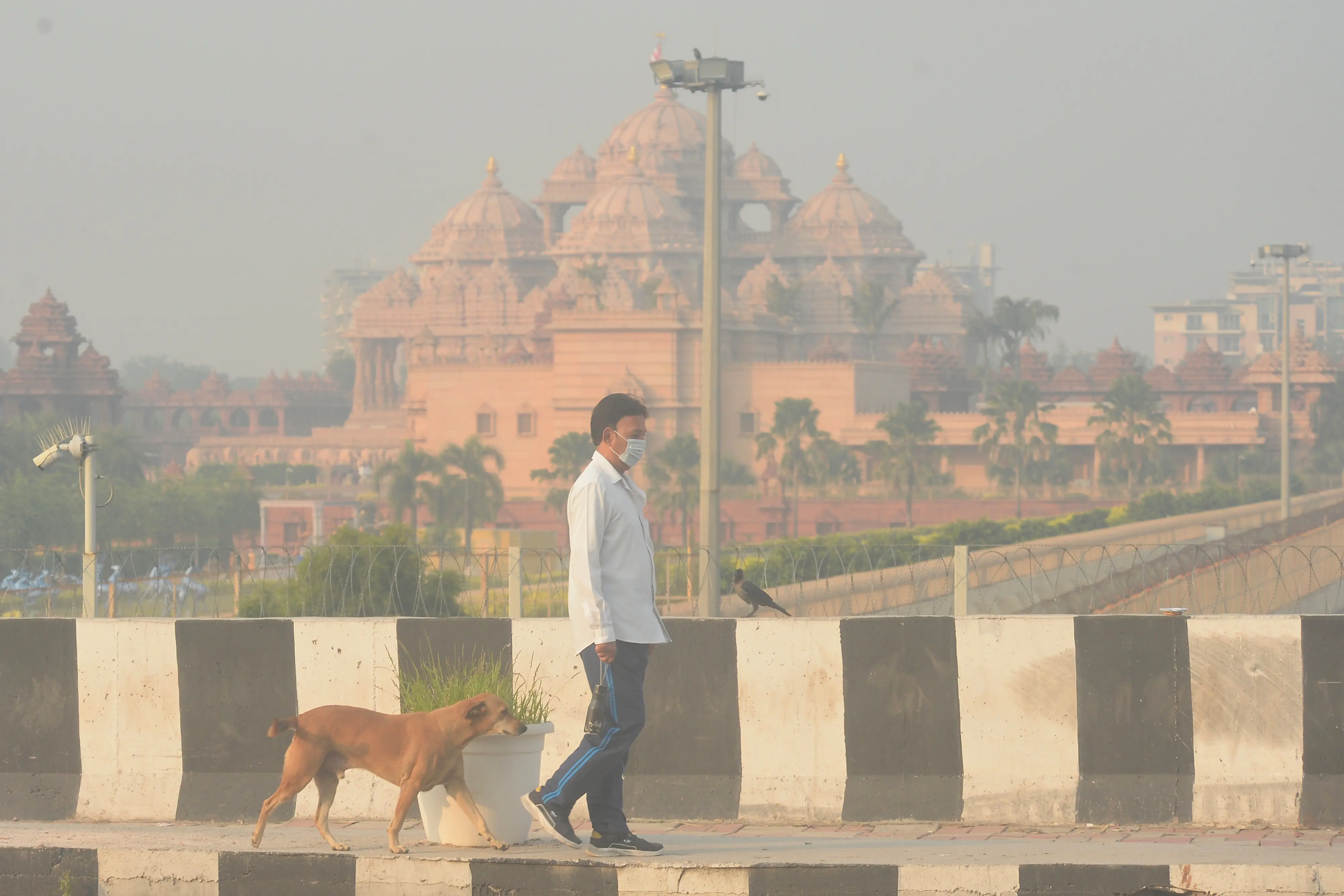 A pedestrian wearing a face mask walks past the Akshardham Temple amidst morning smog, as authorities try to enforce measures to curb air pollution ahead of the Diwali festival, in New Delhi, India. | Photo: AP