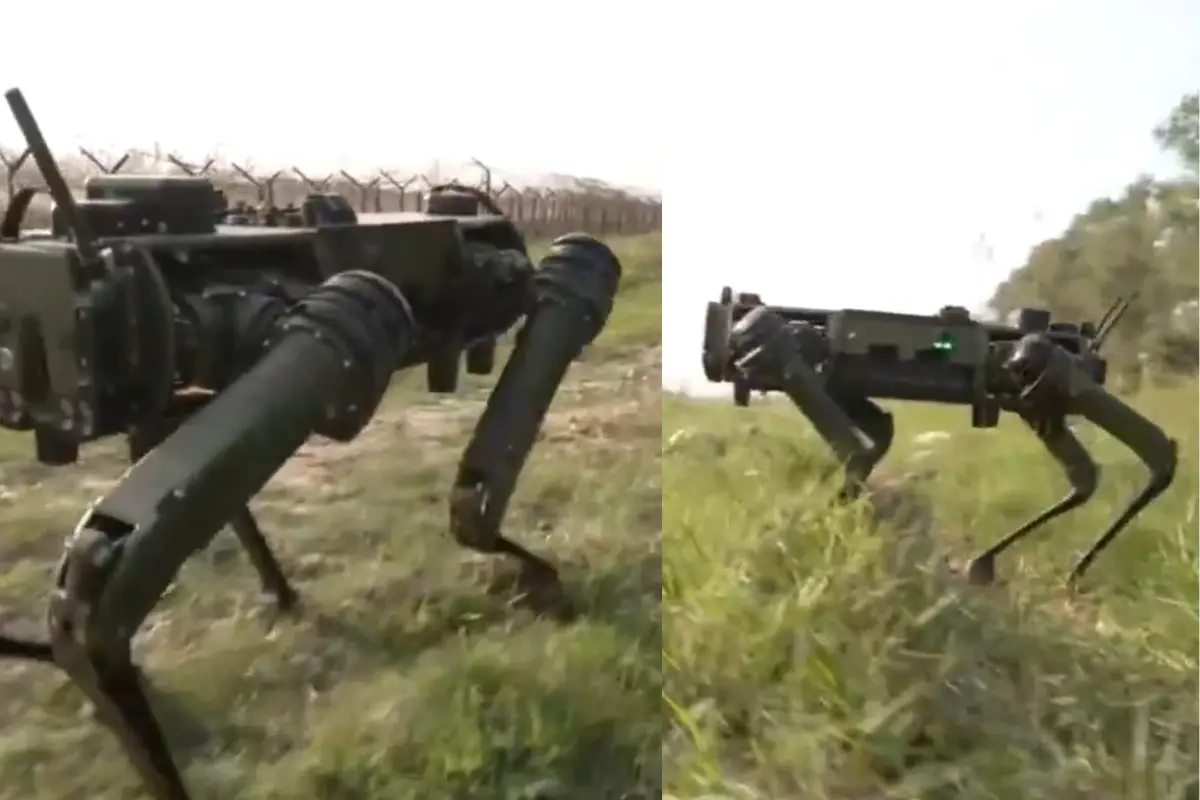 Multi-Utility Legged Equipment (MULE) | ANI