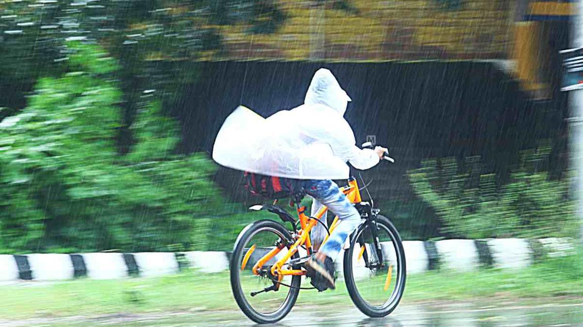 Red alert: Holiday declared for educational institutions in three Kerala districts on Wednesday