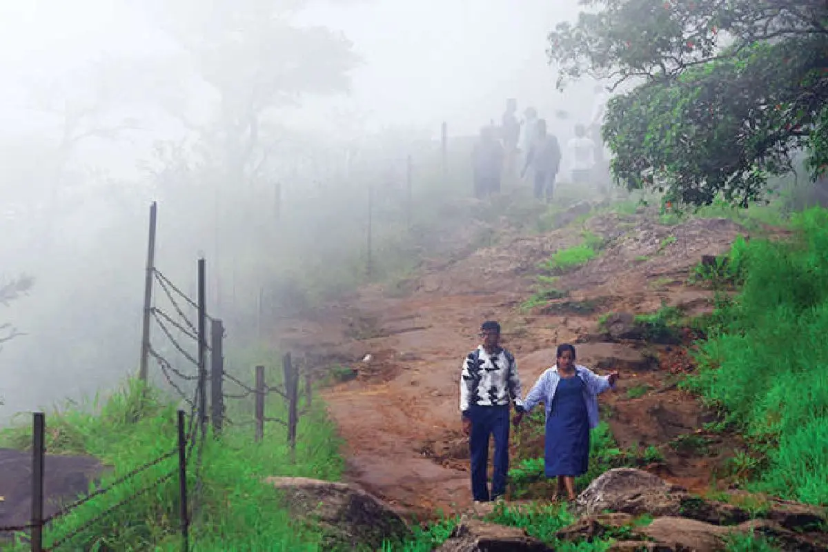 നെല്ലിയാമ്പതിയിലെ പ്രധാന വ്യൂപോയിന്റായ സീതാർകുണ്ട് കോടമഞ്ഞിൽ
