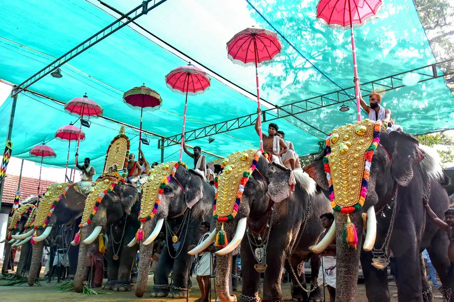 ഒരേ ആനയ്ക്ക് പല സ്‌പോണ്‍സര്‍; മുരാരി ബാബുവിന്റെ ക്രമക്കേടുകള്‍ ആന എഴുന്നള്ളിപ്പിലും