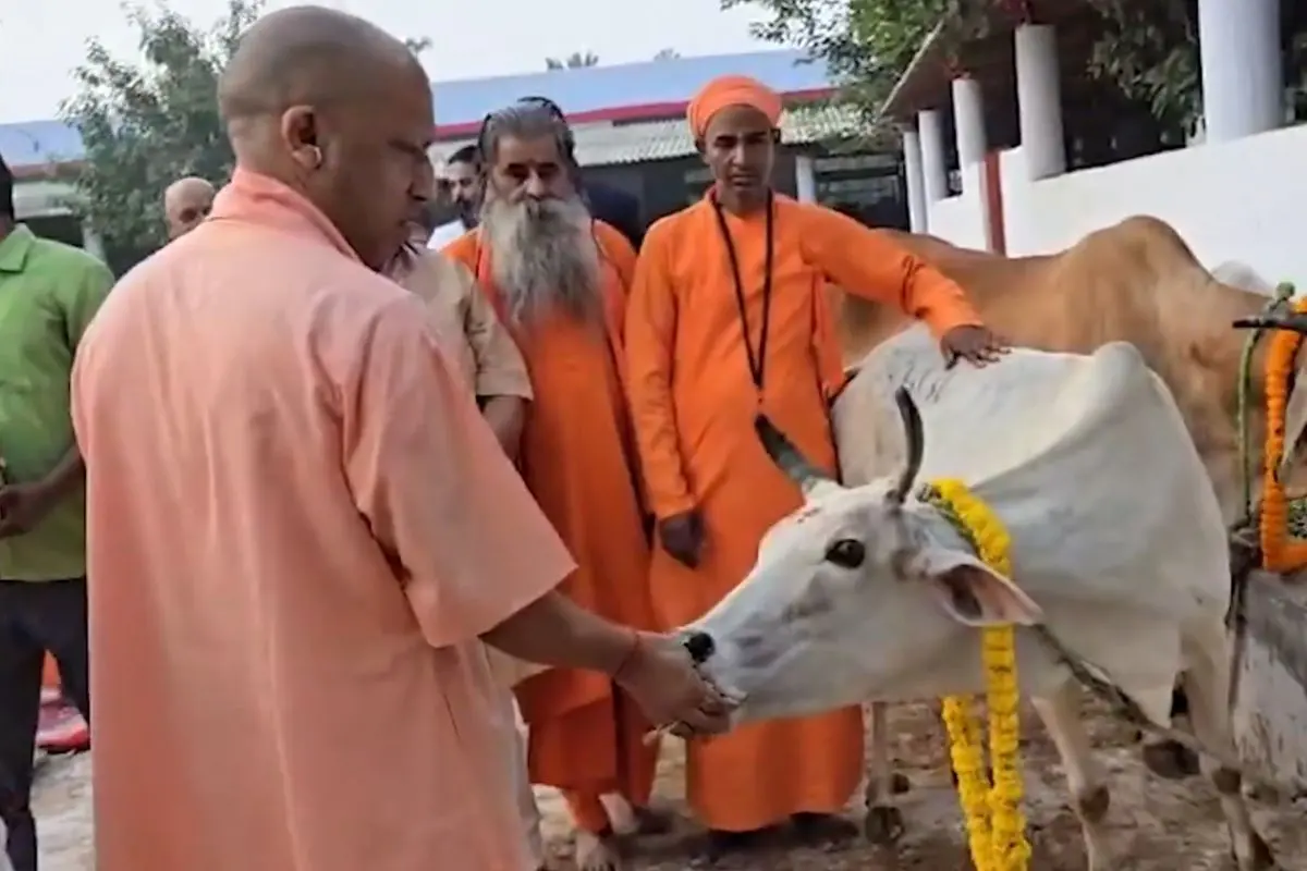Yogi Adityanath celebrates Govardhan puja