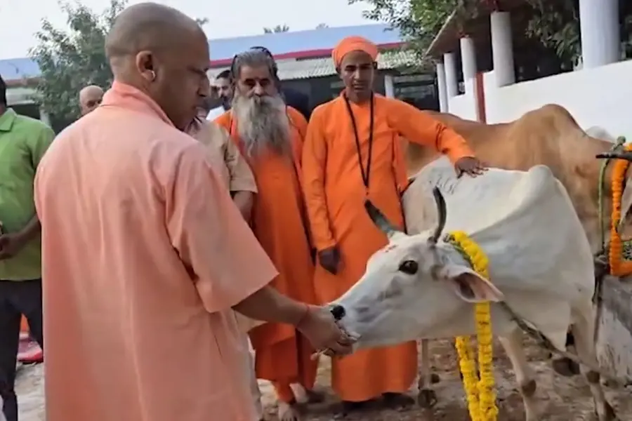 Yogi Adityanath celebrates Govardhan puja