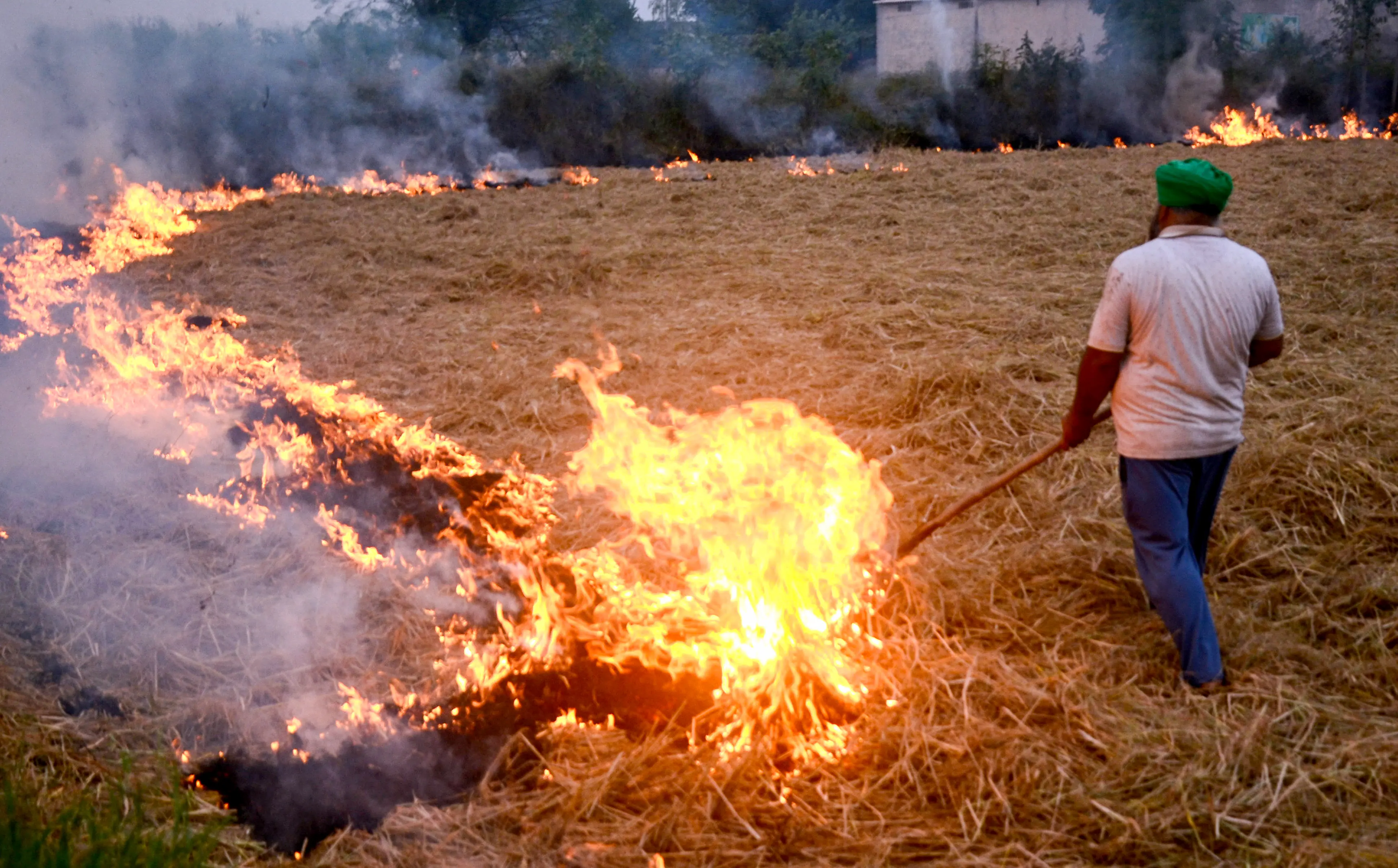 A man sets fire to the stubble at a farm in Patiala | File photo: ANI