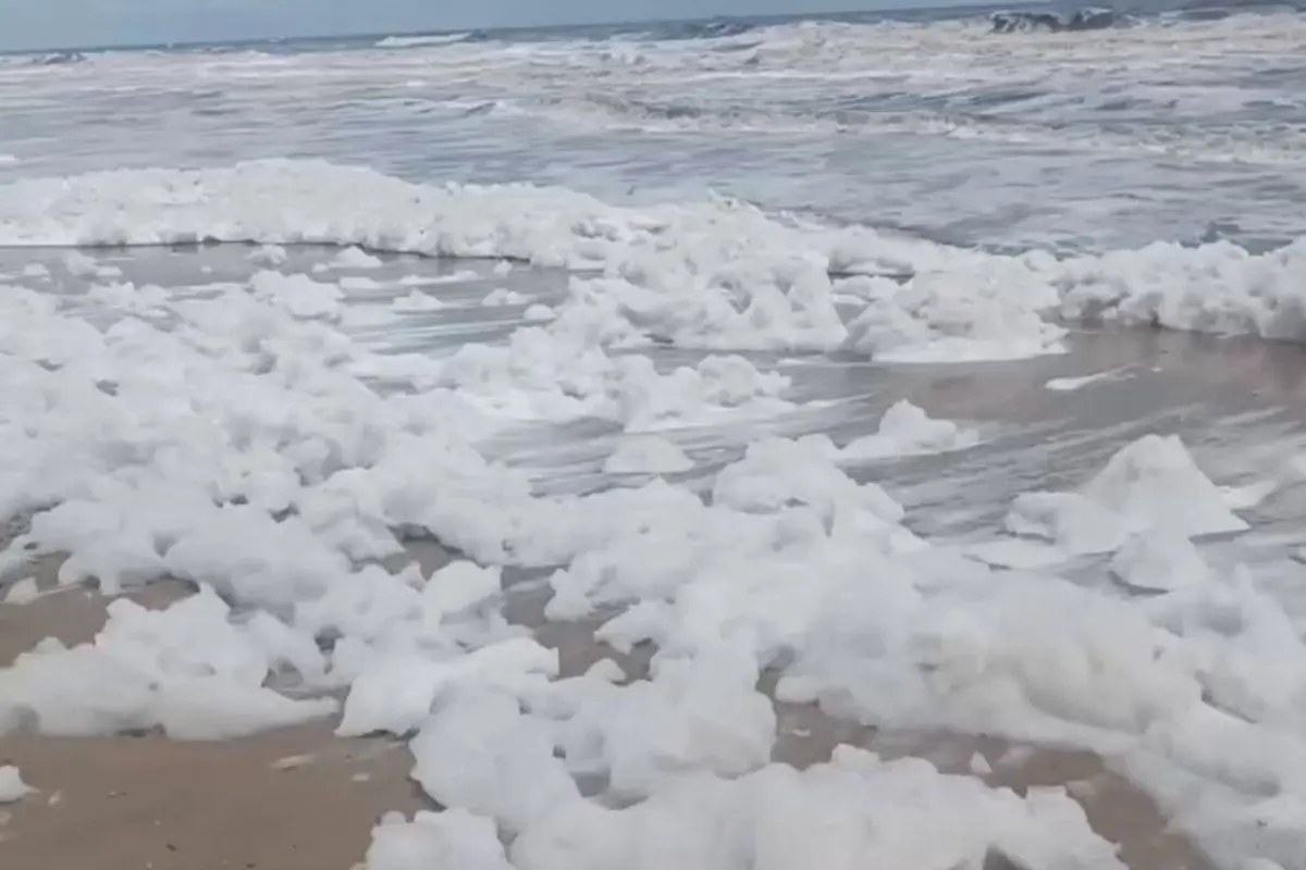 Visual of white foam at Chennai beach stretch | Source: PTI video