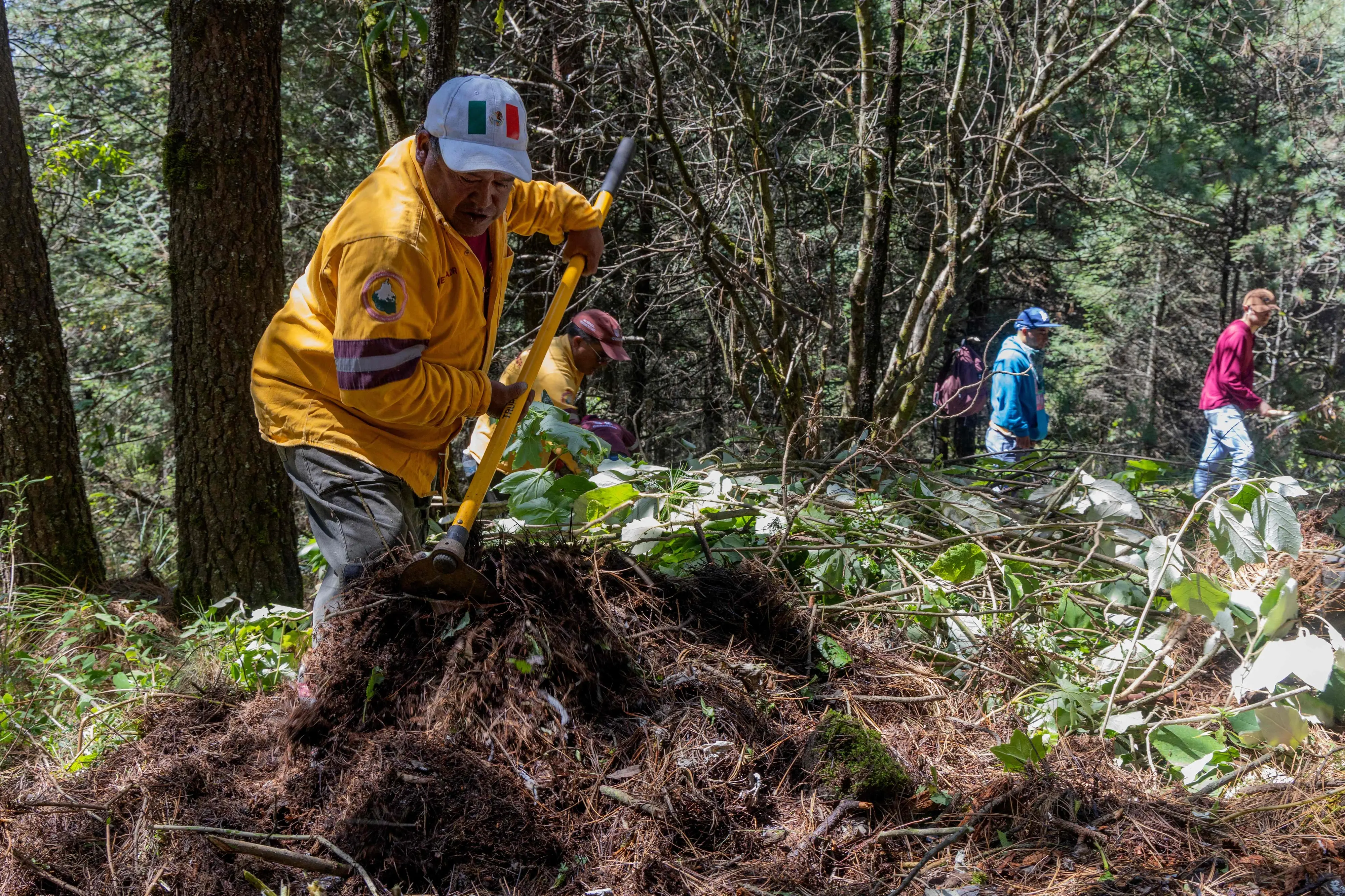A member of the Commission on Natural Resources and Rural Development (CORENADR) takes part in the search for human remains in Ajusco, Mexico City | AFP