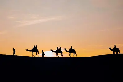 From Pushkar to Bikaner: Spanish tourist completes 20-day camel trek across Rajasthan