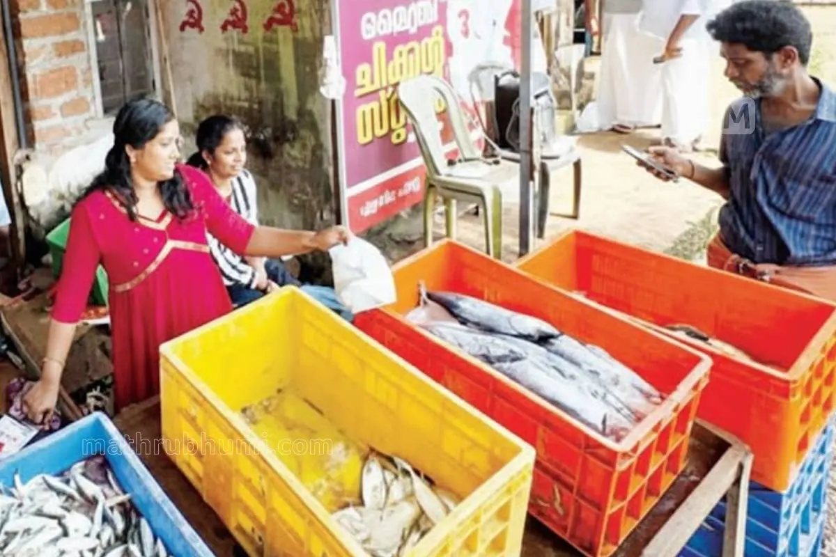 കുണ്ടൂരില്‍ നാട്ടുകൂട്ടായ്മയില്‍ കളിസ്ഥലം ഒരുക്കുന്നതിനുള്ള ഫണ്ട് സമാഹരണത്തിന് കാലിച്ചാമരത്ത് നടത്തിയ ജനകീയ മീൻവില്‍പ്പന