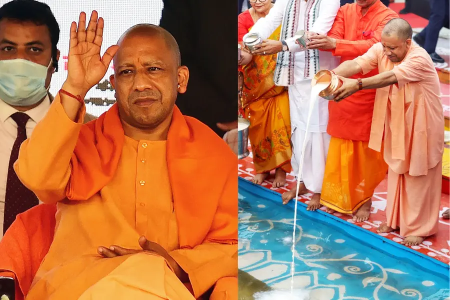yogi