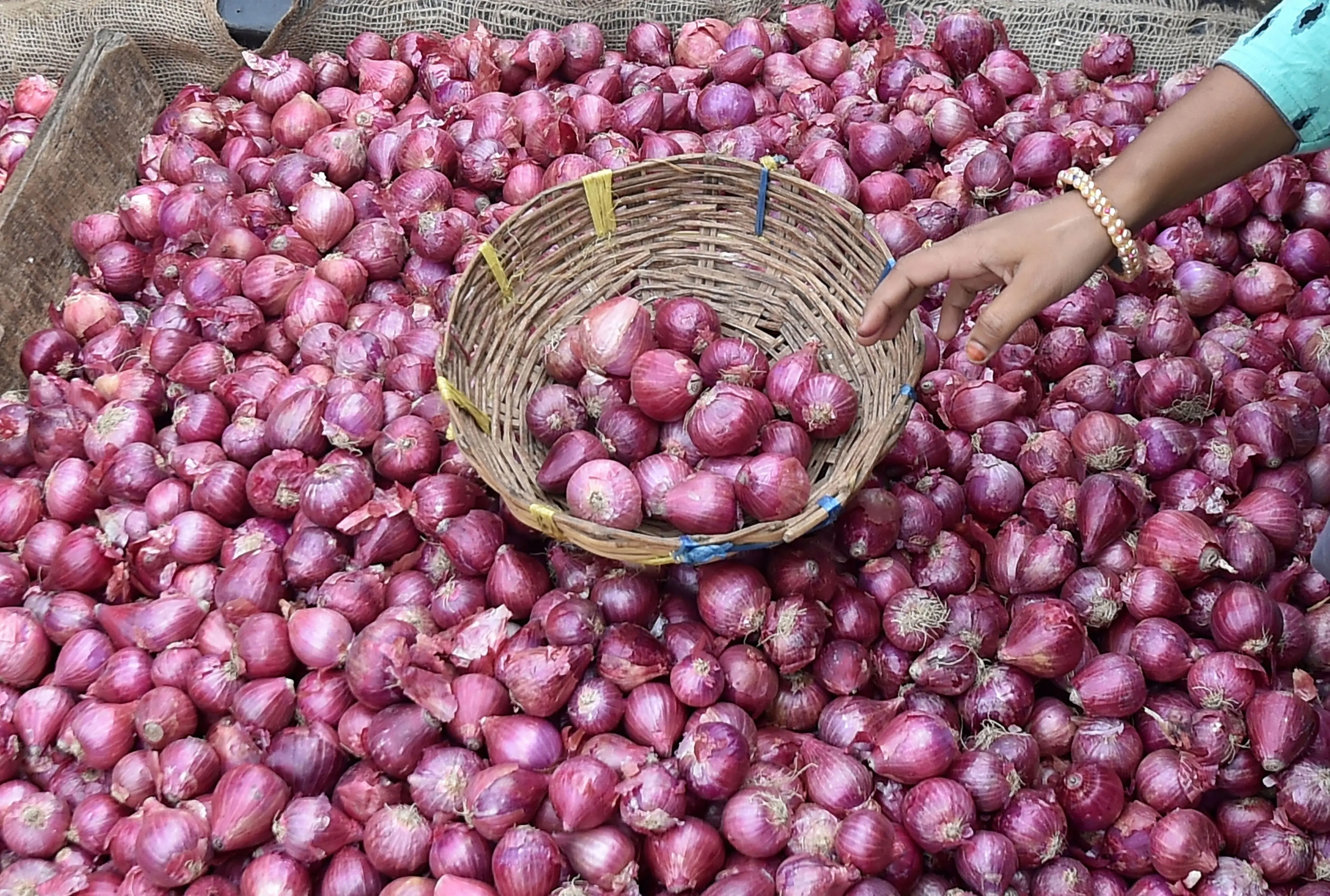 Onions | Photo: PTI