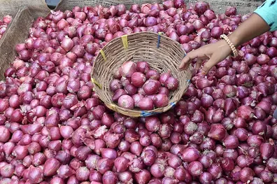 The steep fall of India's onion market: Plummeting prices, export woes and farmer setbacks