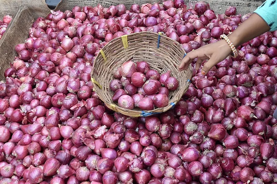 The steep fall of India's onion market: Plummeting prices, export woes and farmer setbacks