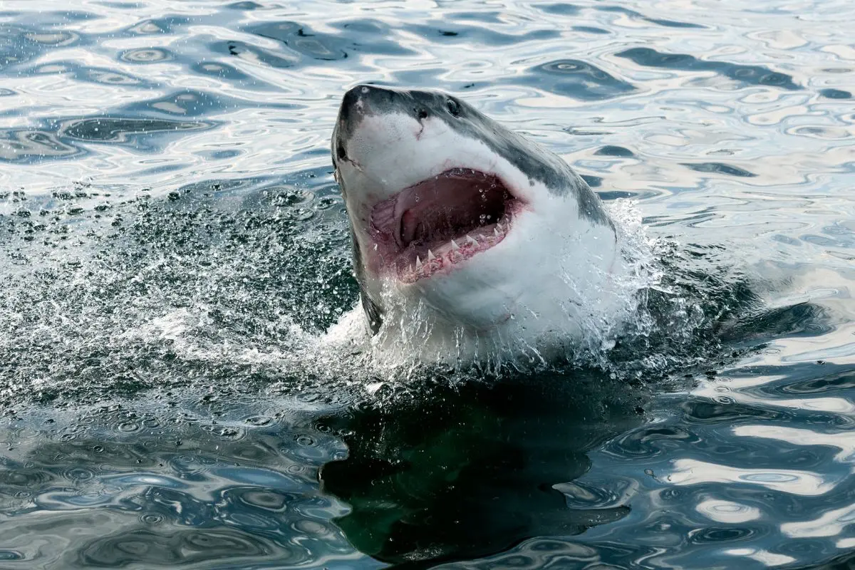 Representational Image | Photo: Getty Images