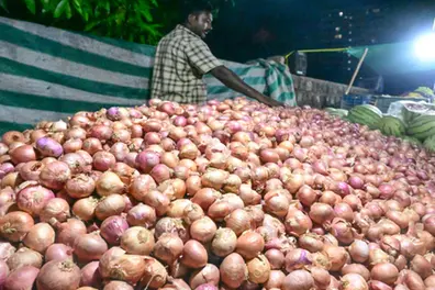 Relief for households; Onion price drops sharply