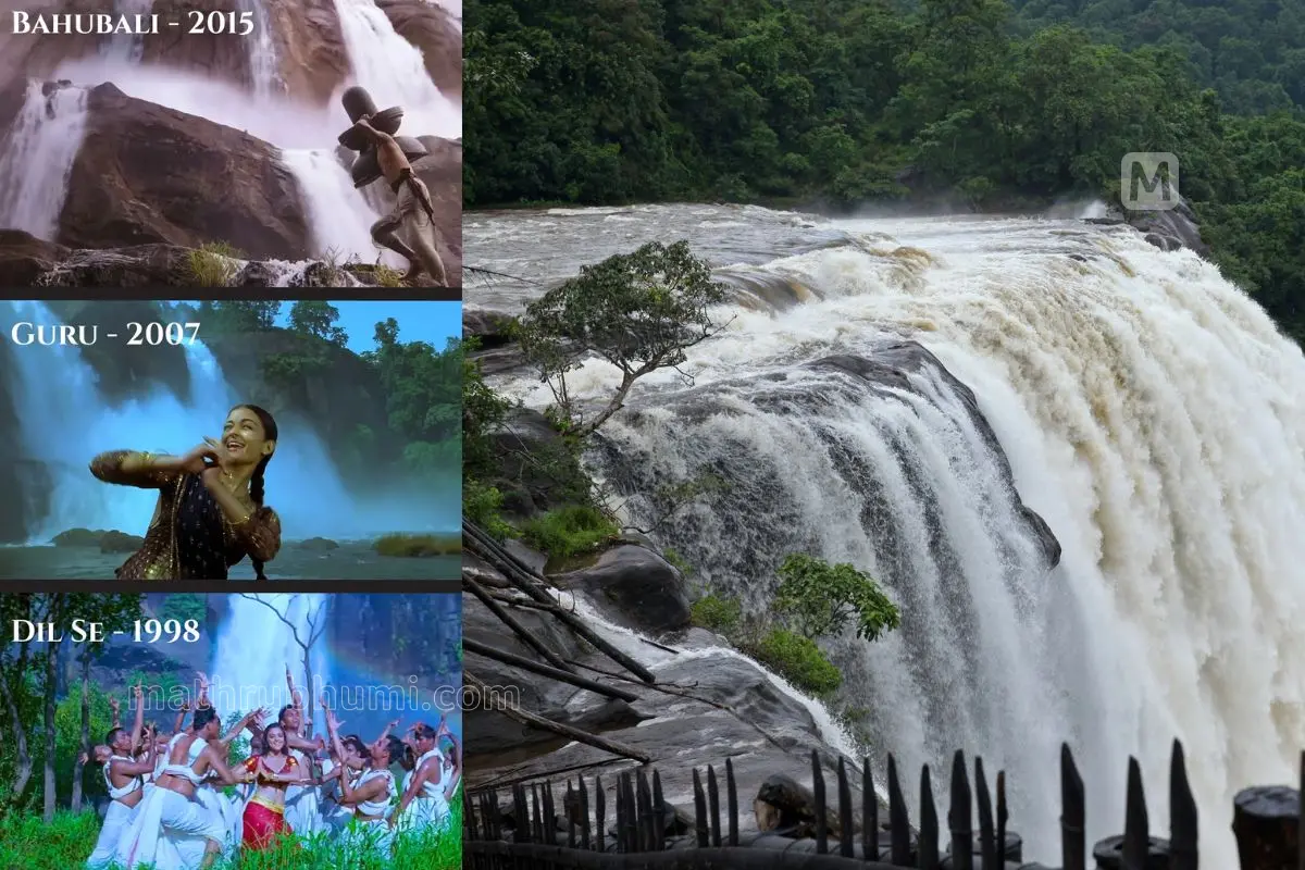 Photo shared by Kerala Tourism-Mathrubhumi