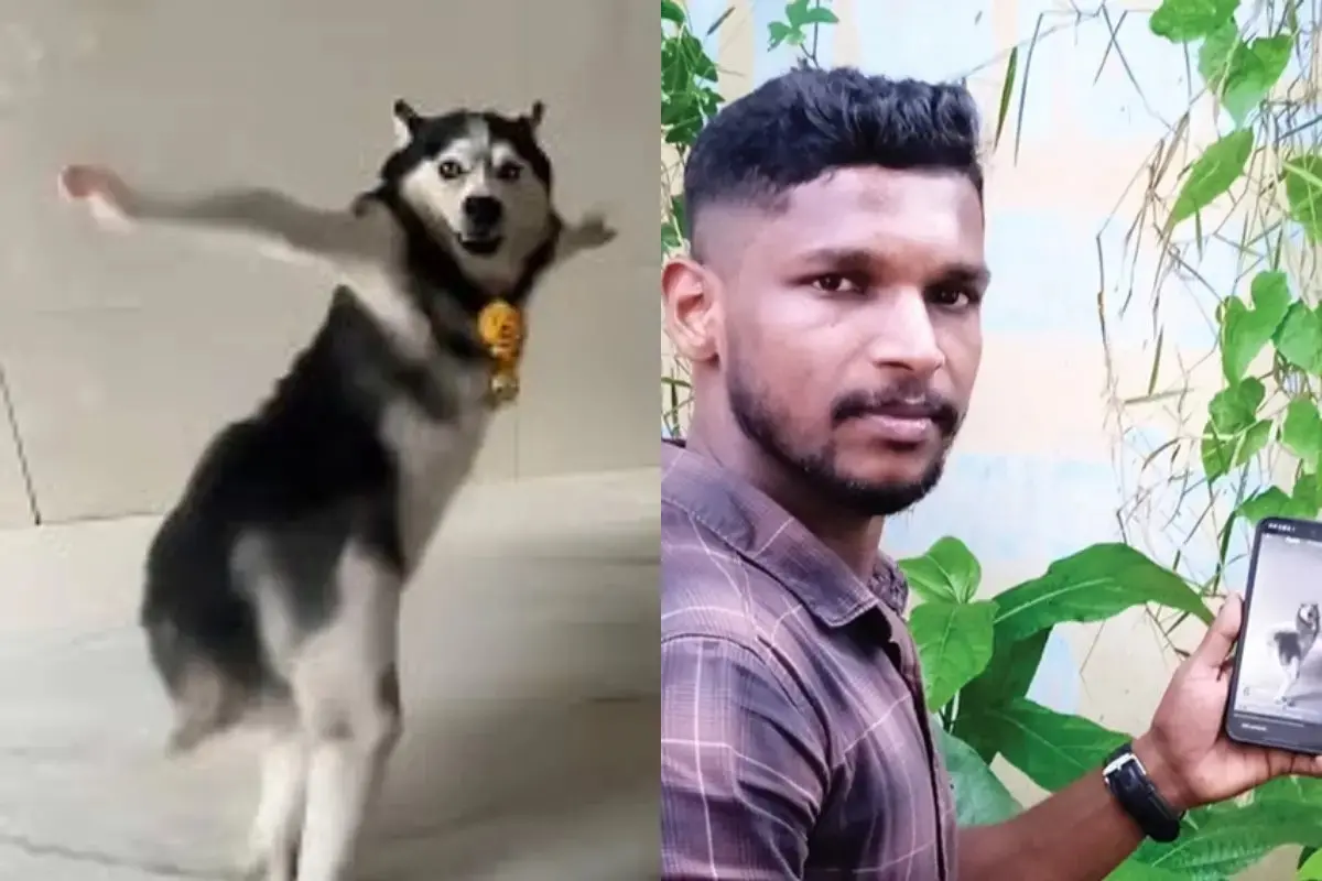 Viral Husky dance and D Arjun