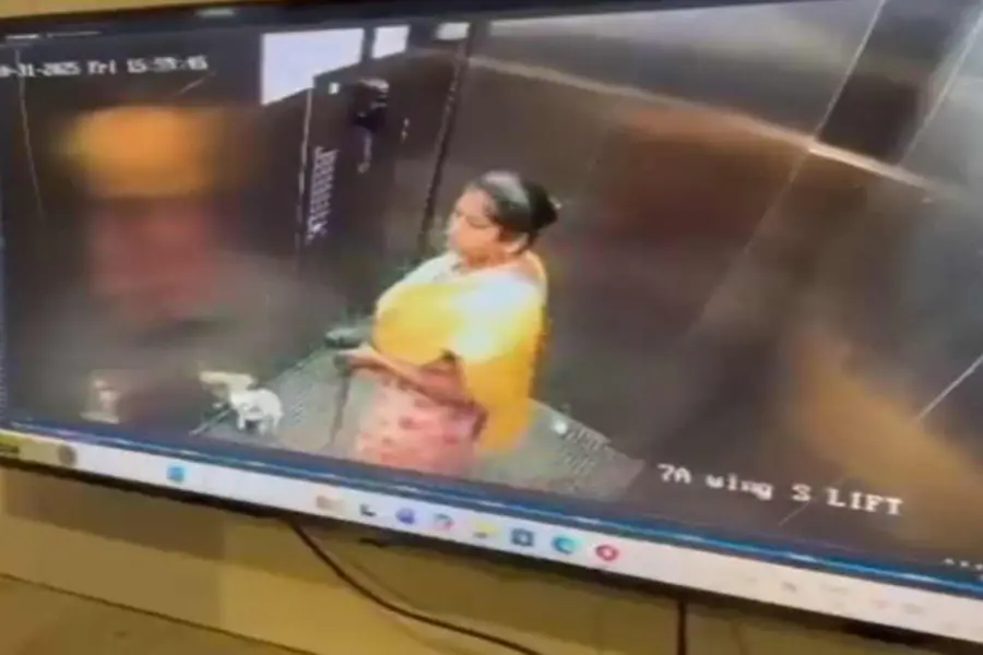 bengaluru pet dog murder