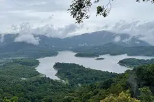 കൊടുംവനത്തിലൂടെ, 13 കിലോമീറ്റർ കാൽനട യാത്ര | CHIMMINY CLIMATE WALK