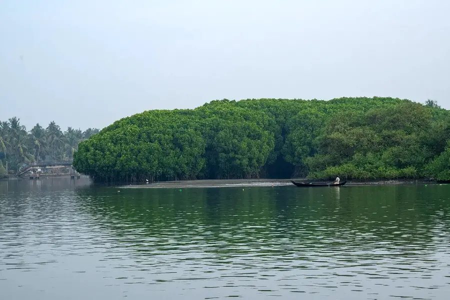 Kadalundi Bird Sanctuary