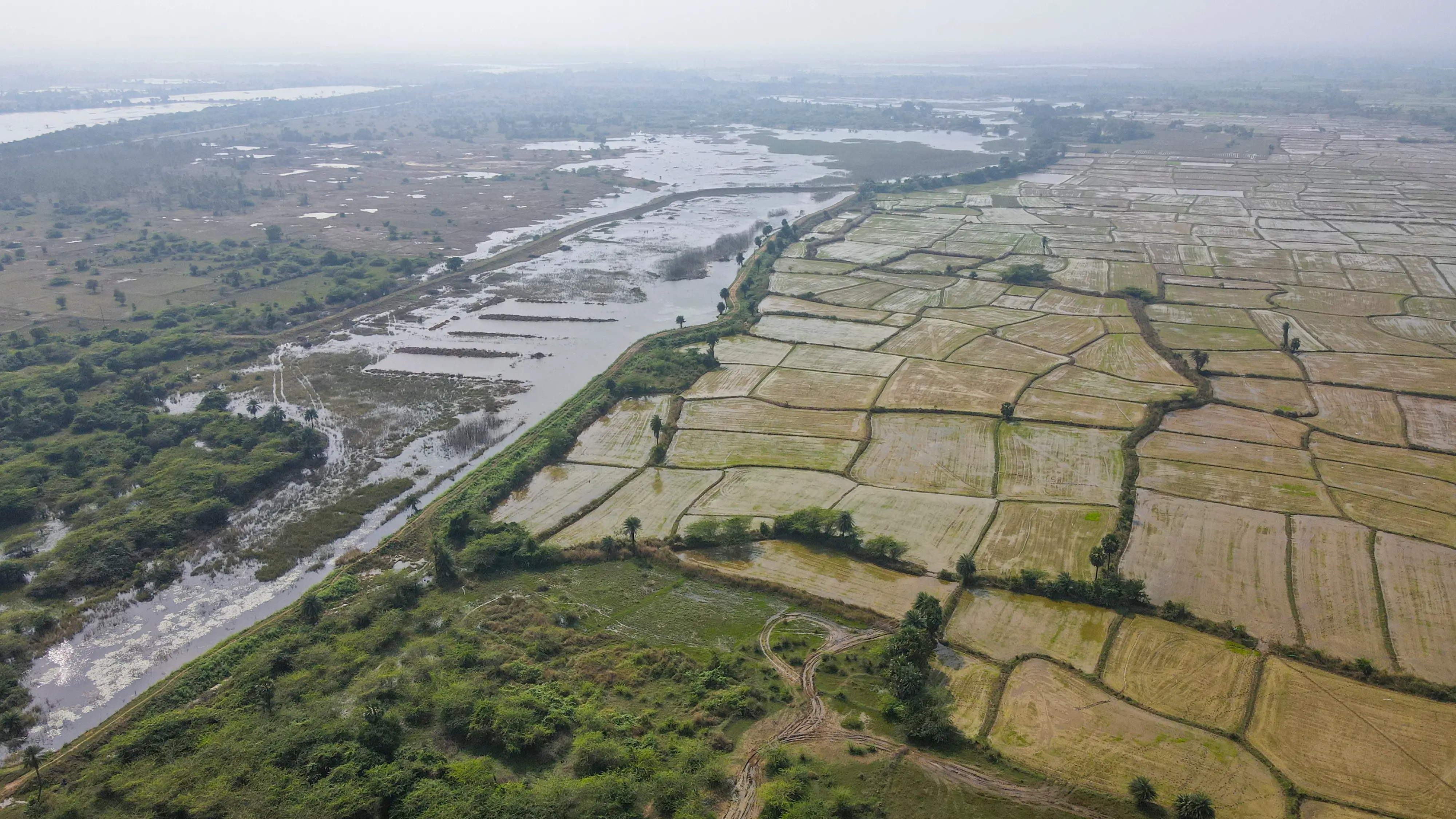 Farmlands and waterbodies of Parandur and nearby villages, where construction of a new airport has been proposed by the Tamil Nadu government, in Kanchipuram district | File photo: PTI