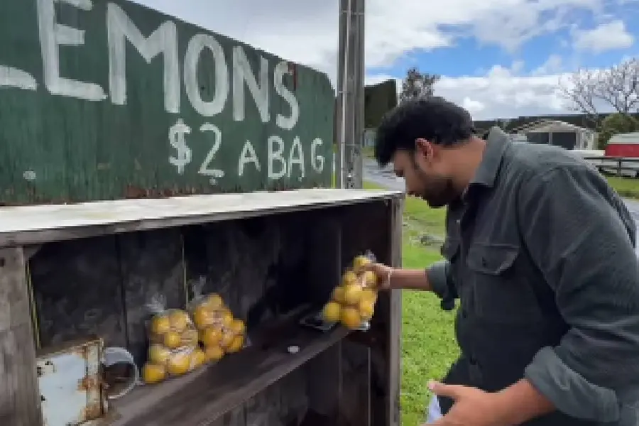 lemon sale