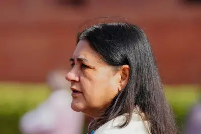SC orders removal of stray dogs from public spaces; Maneka Gandhi slam move