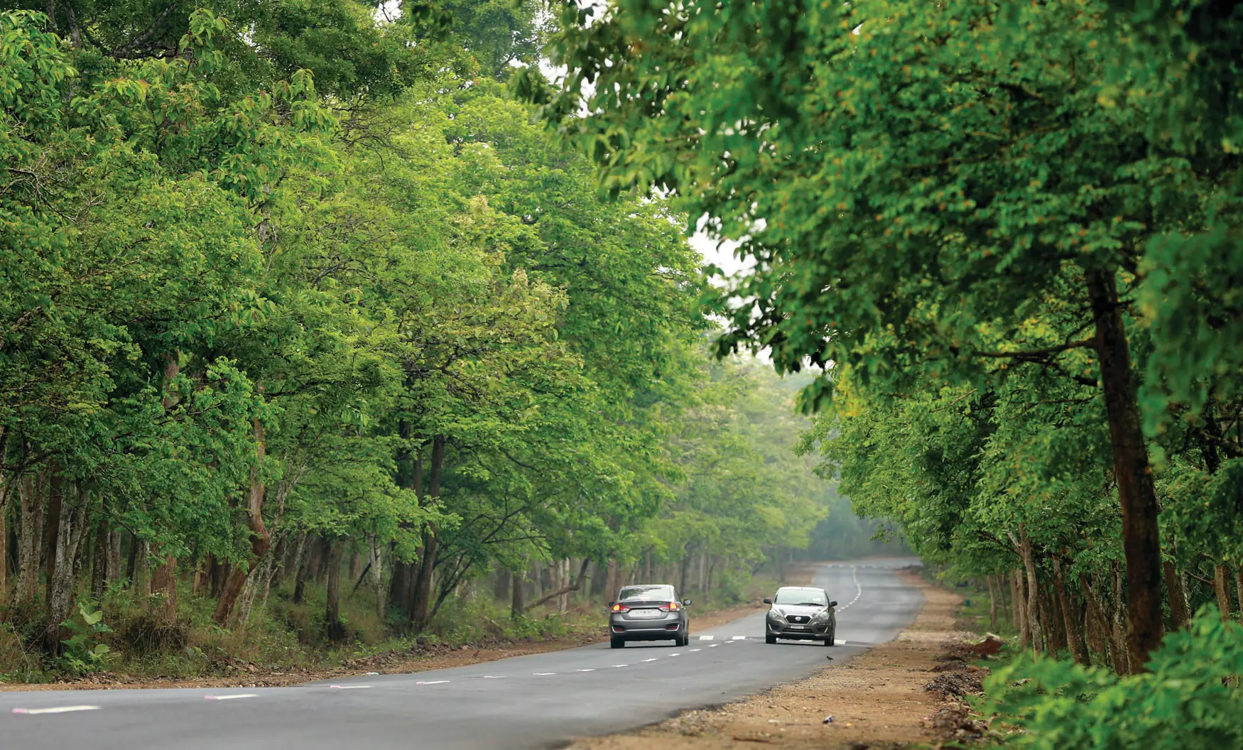 Bandipur National Park | Photo: Mathrubhumi