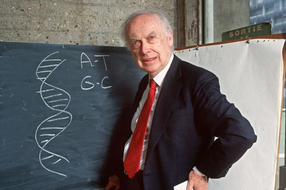 Picture taken on April 23, 1993 in Paris of American geneticist James Dewey Watson | Photo: AFP