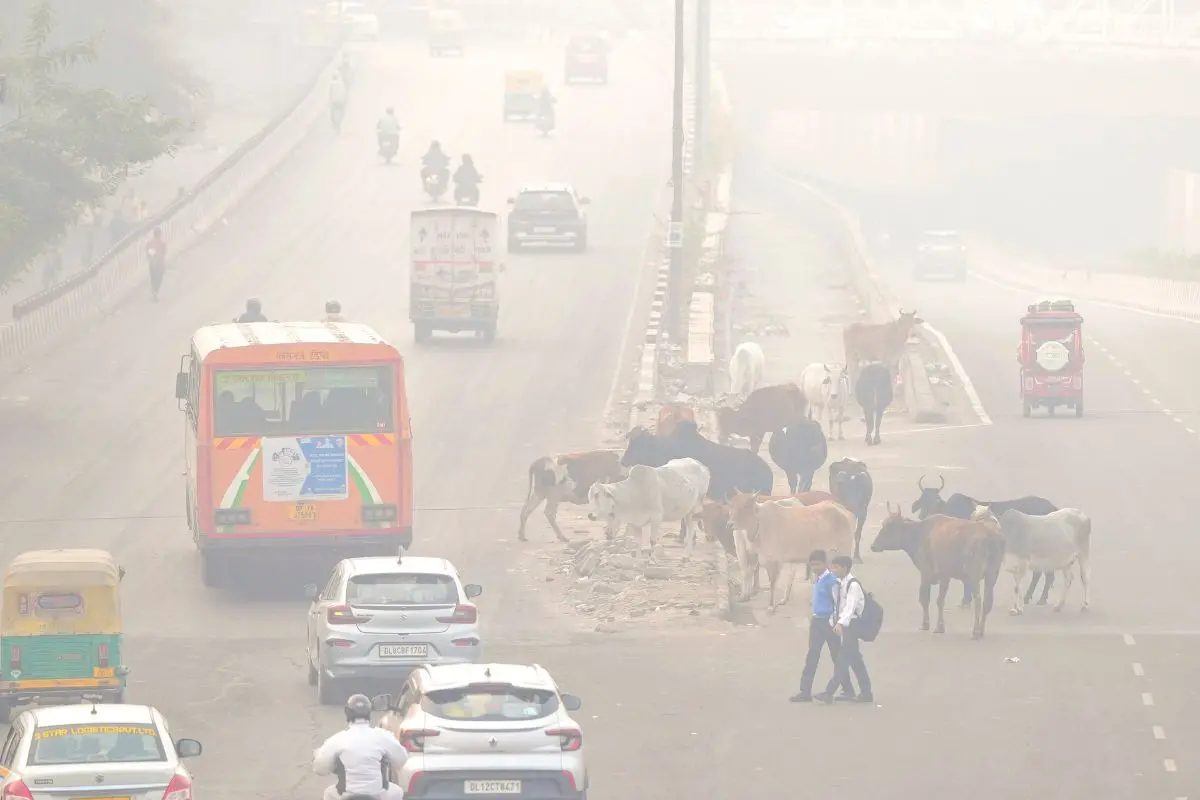 Commuters on a smoggy morning, at Anand Vihar, in New Delhi | Photo: PTI