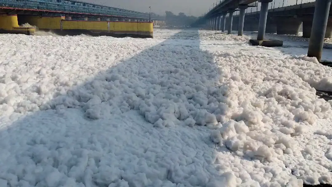 Toxic foam seen floating on the surface of Yamuna River | photo: ANI