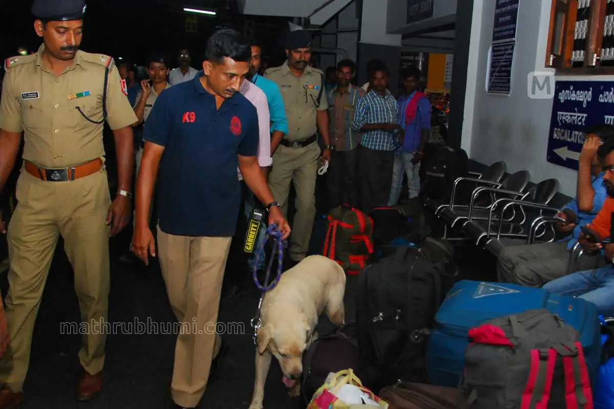 പ്രതീകാത്മക ചിത്രം | ഫോട്ടോ: അരുൺ കൃഷ്ണൻകുട്ടി/ മാതൃഭൂമി