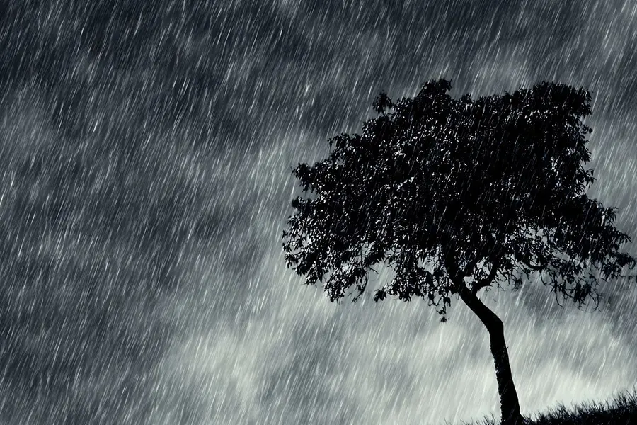 Rains