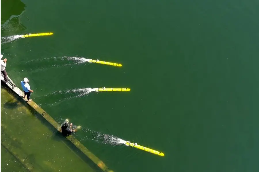 Man-portable Autonomous Underwater Vehicles