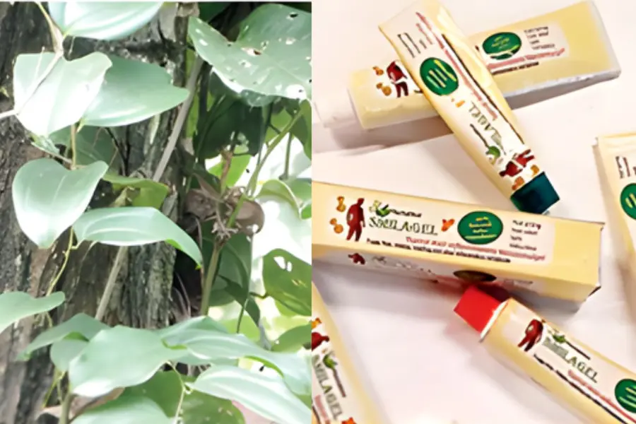 MedicinalPlant