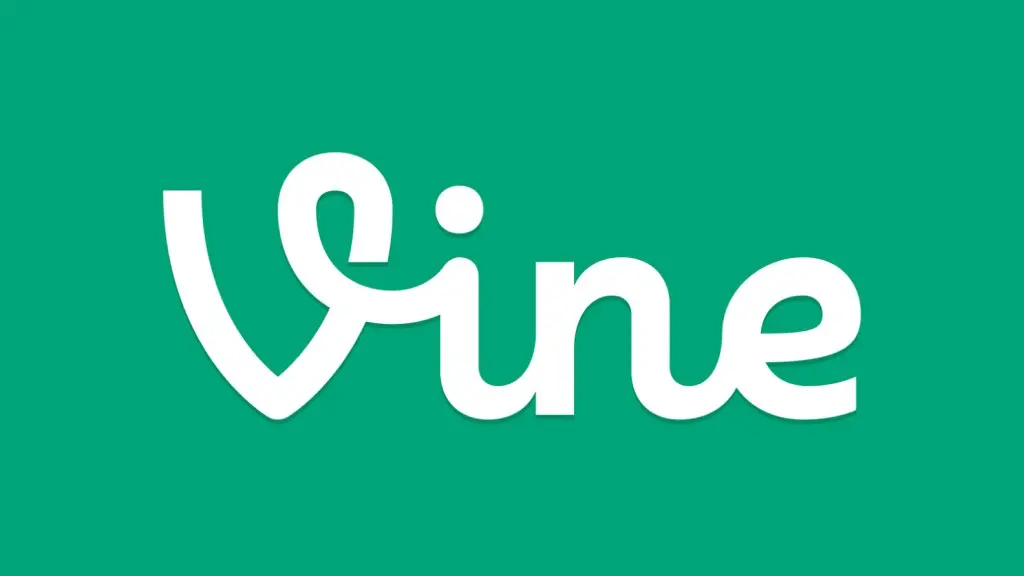 Photo: Vine