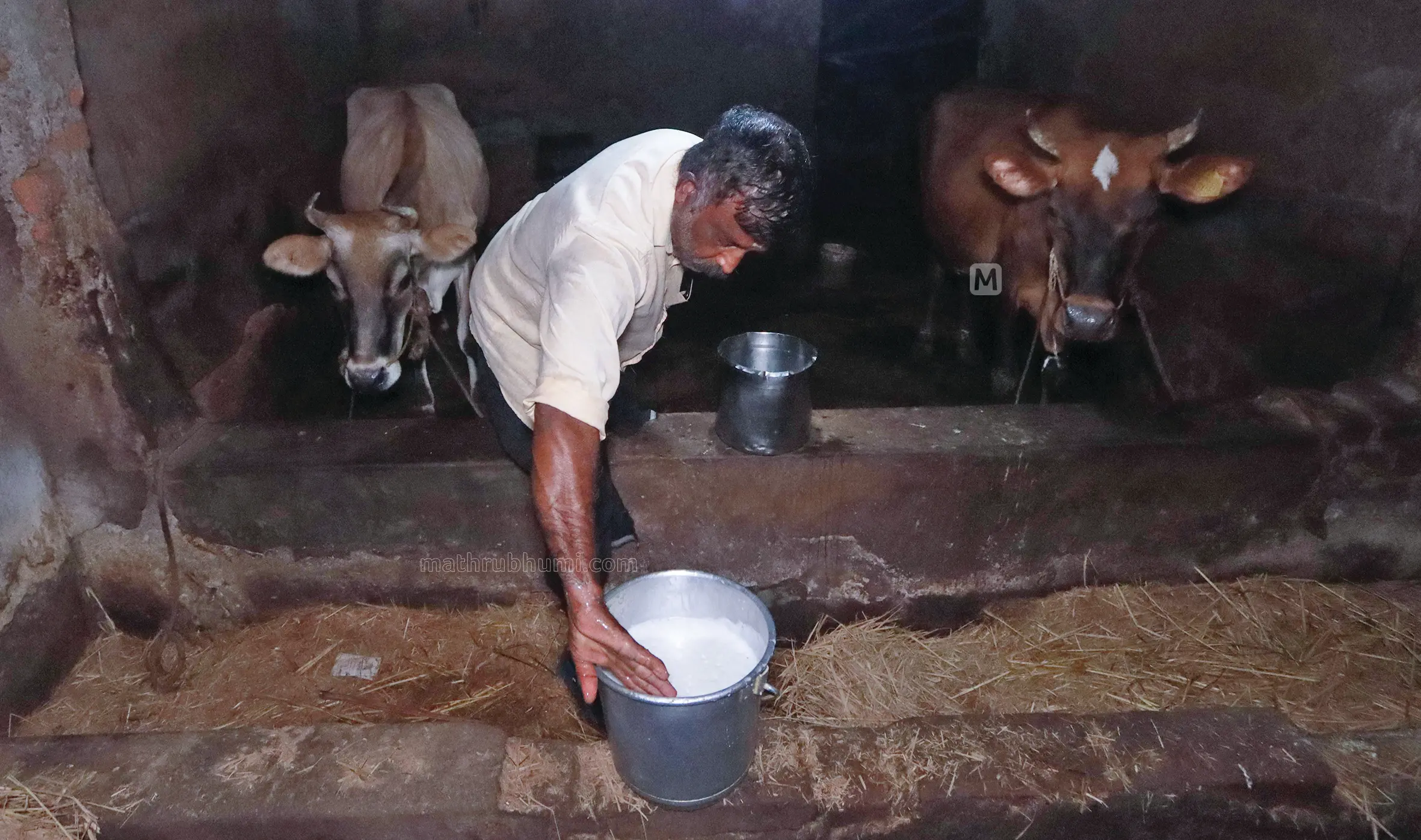 ദിലീപ് | ഫോട്ടോ: പ്രജ്ജ്വൽ സുരേഷ്/മാതൃഭൂമി