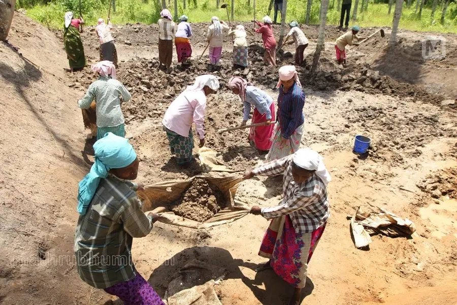 MGNREGA database sees sudden spike in deletions: 27 lakh workers wiped out in one month