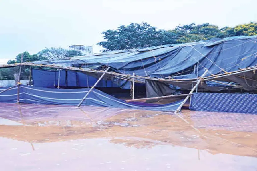 wandoor kalolsavam