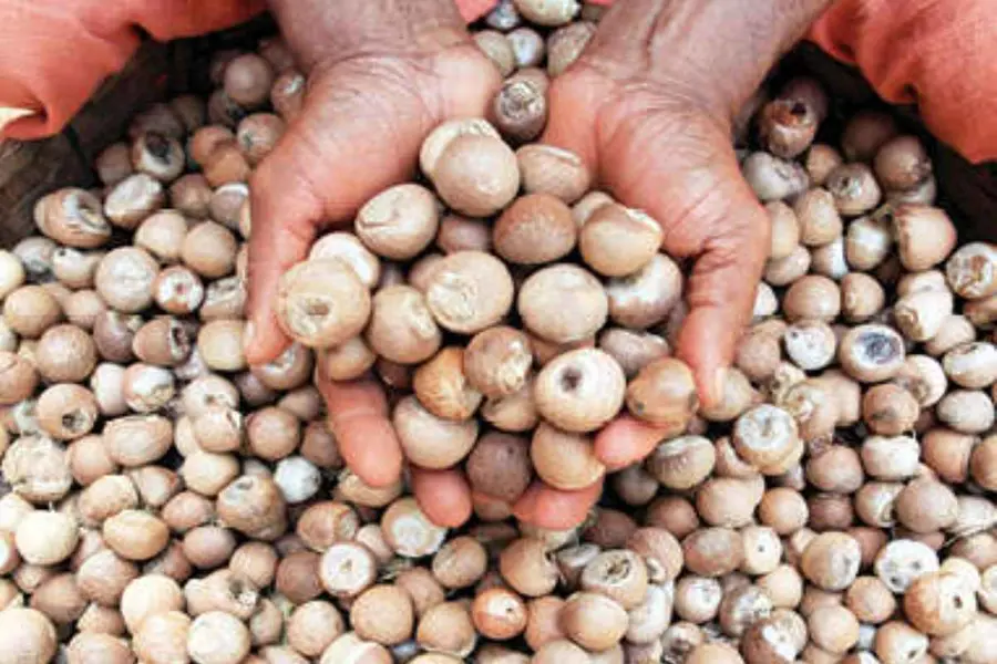 adakka price