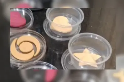 NDRI unveils India’s first 3D-Printed barfi and sandesh