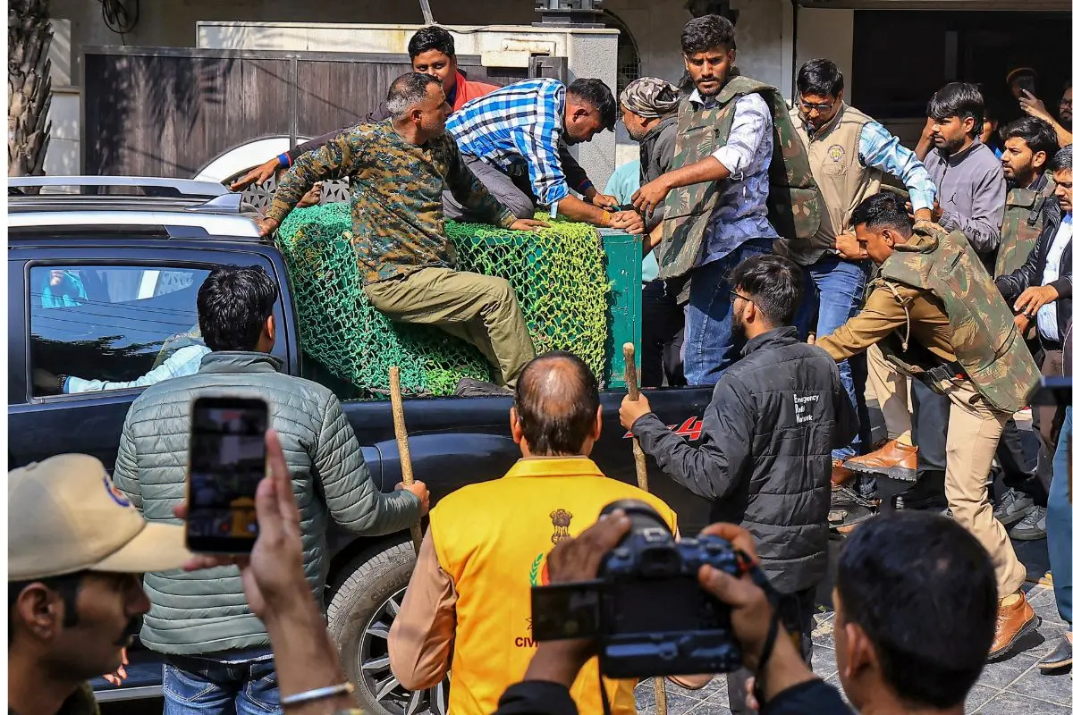 Forest department officials tranquillise and capture a leopard during a rescue operation in the VVIP Civil Lines area, in Jaipur | Photo: PTI