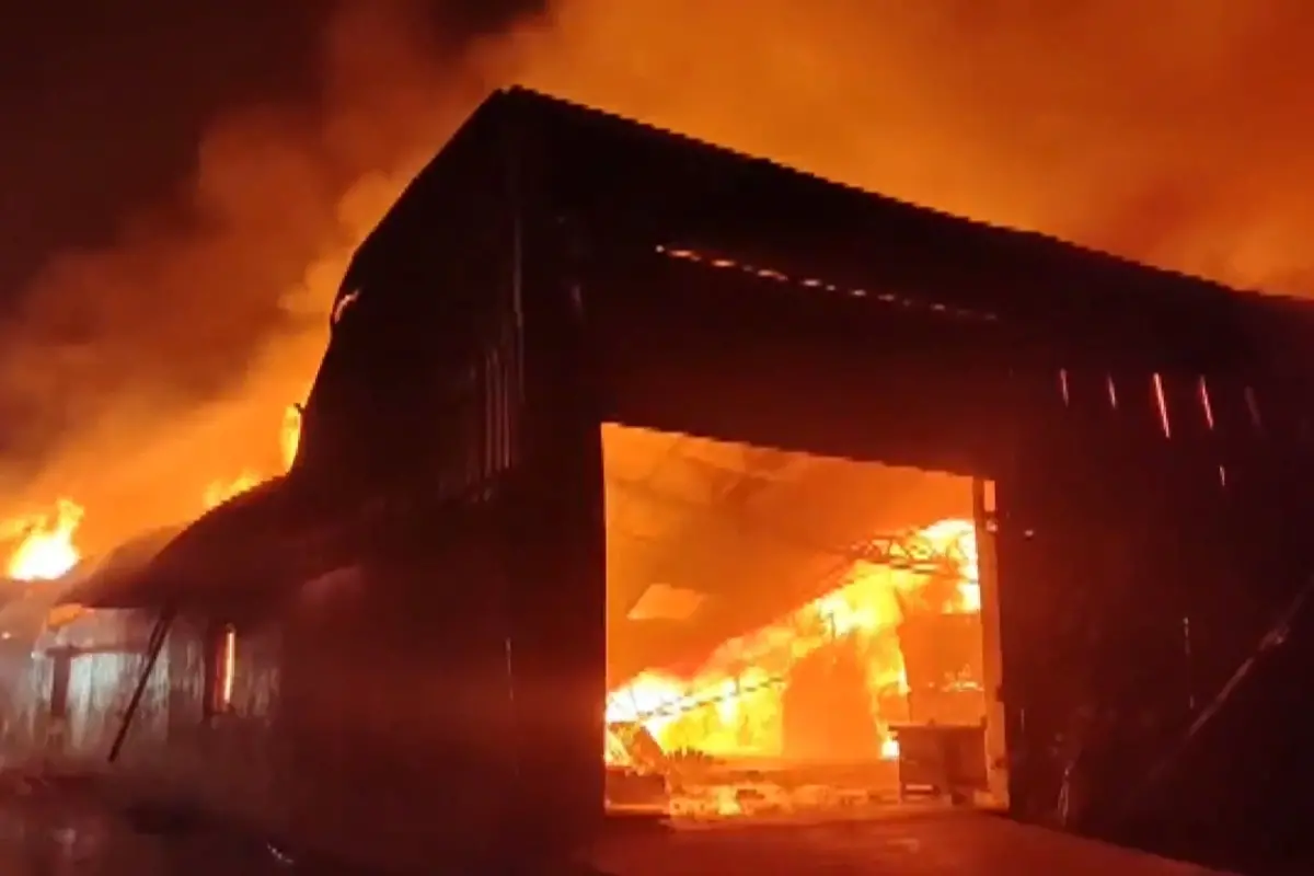 Fire breaks out in a wood warehouse in Mahuvej industrial area in Surat | Photo: ANI