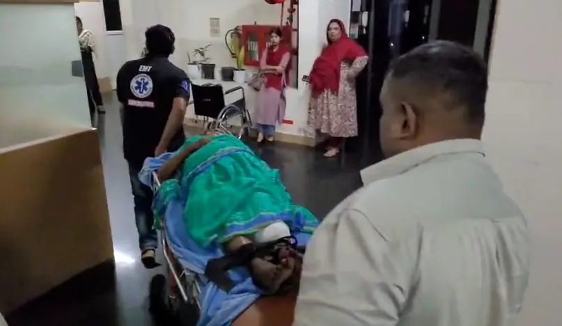 കാട്ടുപന്നി ആക്രമണത്തിൽ പരിക്കേറ്റ അന്നമ്മ