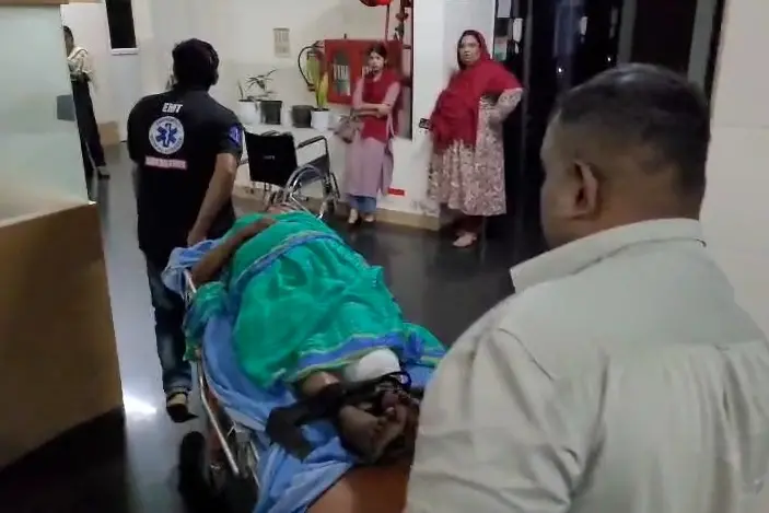 കാട്ടുപന്നി ആക്രമണം: വീട്ടുമുറ്റത്ത് നിന്ന സ്ത്രീയ്ക്ക് പരിക്ക്