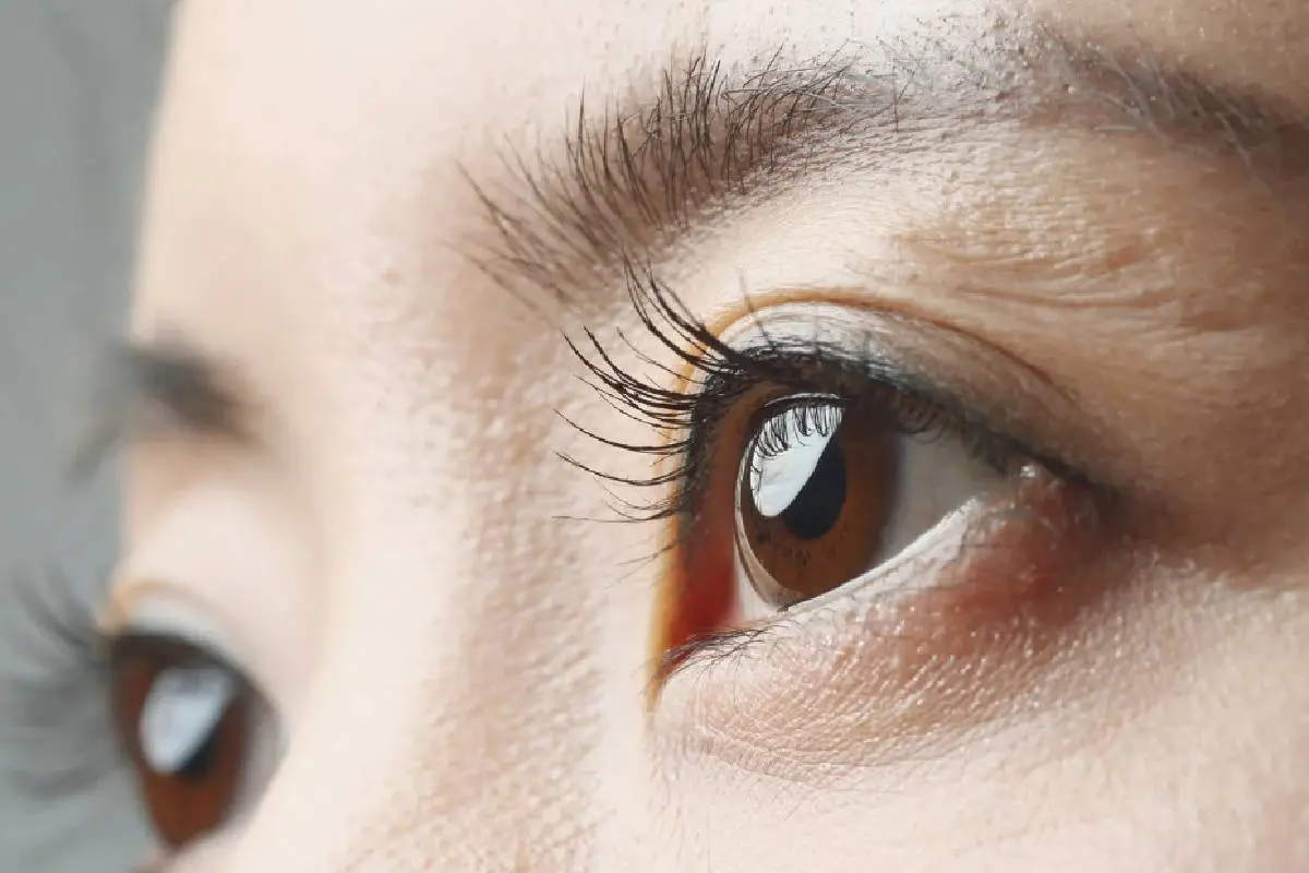 Representative Image| Photo: Canva.com