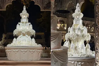 A cake with domes, jharokas and tigers? Inside the multi-million Udaipur wedding of Netra Mantena and Vamsi Gadiraju |VIDEO