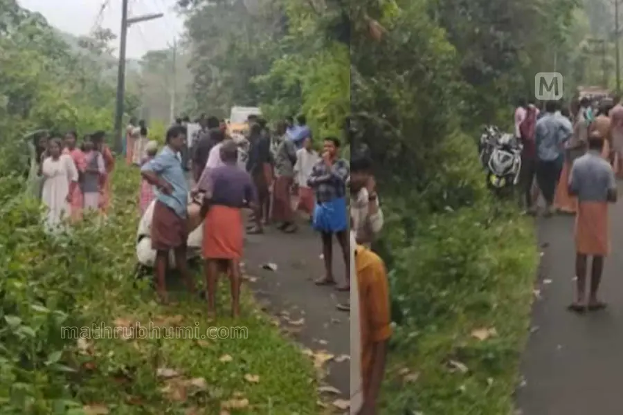 pathanamthitta auto accident