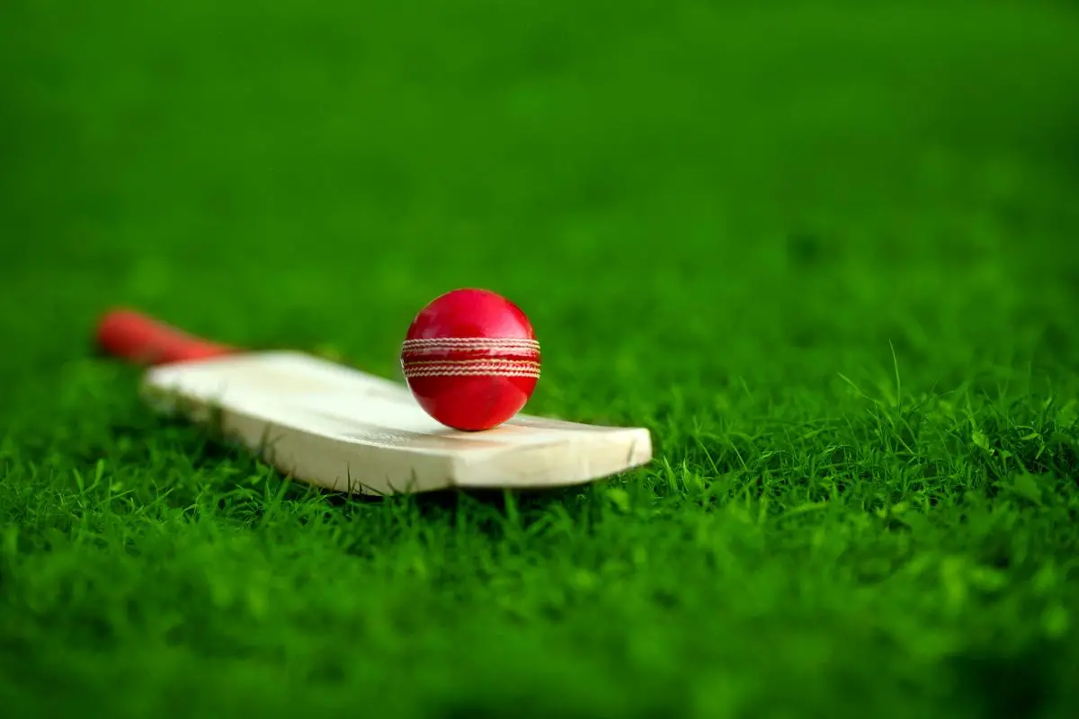 WPL auction | Representative Image: Canva